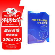 電網(wǎng)企業(yè)大數據分析與應用