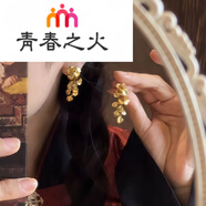 青春之火鎏金花朵耳環(huán)復(fù)古流蘇柳枝傾城芳花小眾鐘楚曦金色耳釘女 底聚會小心