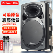 新科Z12 廣場舞音響大功率低音炮移動戶外K歌藍牙拉桿麥克風音箱擴音器無線話筒攤擺喇叭 12英寸雙話筒