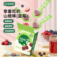 寶寶饞了兒童零食棒棒糖山楂棒梨膏木糖醇高鈣牛奶軟糖享1歲寶寶嬰兒食譜 【4階】山楂棒（藍莓）72g/盒