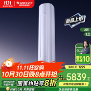 格力（GREE）一級能效空調(diào)冷暖變頻云佳Pro系列WIFI【2025省電新款】以舊換新補貼大1匹1.5匹壁掛機2匹3匹柜機 2匹 一級能效 PRO版柜機|省電風量更強