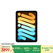 Apple/蘋果 iPad mini (A17 Pro) 8.3英寸 平板電腦(256G eSIM版/mini7/MXQ53CH/A)藍(lán)色
