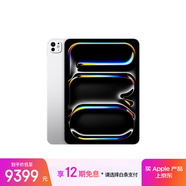 Apple/蘋(píng)果 iPad Pro 11英寸 M4芯片 2024年新款平板電腦(512G WLAN版/MVVD3CH/A)銀色