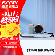 索尼（SONY）索尼微單相機(jī) 攝像機(jī)適用 2（京倉(cāng)） E10皮套+腕帶套裝（藍(lán)色）新