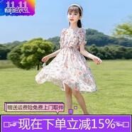 歐遙女童連衣裙公主裙洋氣雪紡碎花夏裝女孩裙子9-12歲新款中大童裝13 粉色碎花連衣裙   均碼 170身高155-165cm體重85-100斤