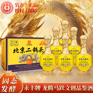 永豐牌 北京二鍋頭 龍騰馬躍文創(chuàng  )品鑒酒  純糧食固態(tài)法白酒 52度 500mL 6瓶 （原箱發(fā)貨）