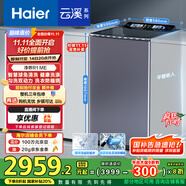 海爾（Haier）【小紅花套系】云溪波輪洗衣機全自動(dòng)家用 10公斤后控  家電國家補貼 雙動(dòng)力防纏繞MS100-BZ568H