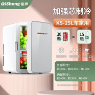 奇聲家用迷你小冰箱宿舍出租房小型母乳單人用車(chē)載冷藏箱車(chē)家兩用 奇聲  銀色單核【家車(chē)兩用】 25L