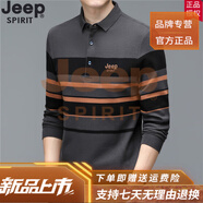 JEEP SPIRIT高端春秋新款寬松商務(wù)條紋純棉長(zhǎng)袖t恤男Polo衫上衣體恤 68879深灰 3XL