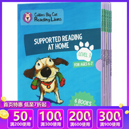 英文原版 柯林斯大貓 Collins Big Cat Reading Lions Level 3 Supported Reading 6冊 家庭閱讀繪本 分級閱讀3階段 綠山墻 Collins Big