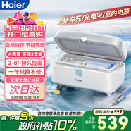 海爾【居家款】雙子冰盒胰島素冷藏盒便攜大容量戶外家居用品車載冰箱