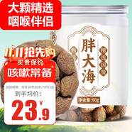 養(yǎng)益君 胖大海60g 【約35顆】嚴(yán)選精品廣西原產(chǎn)大海子大洞果沖泡養(yǎng)生茶