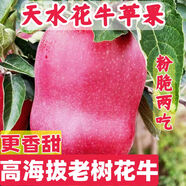花牛天水花牛蘋(píng)果新鮮現摘甘肅特產(chǎn)粉脆香甜花牛蘋(píng)果蛇果蘋(píng)果水果 頭茬高海拔老樹(shù)花牛更香甜 8斤大果【12-15枚】家庭聚會(huì )首選