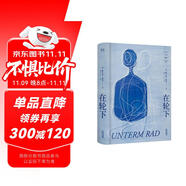 在輪下（《悉達多》譯者姜乙2025新譯作，諾獎得主黑塞成長小說。） 雙11大促