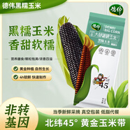 德偉25年新玉米新鮮黃黑白糯玉米 北緯45°東北非轉(zhuǎn)基因早餐 雜糧禮盒 280g黑糯玉米*1支
