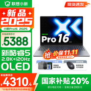聯(lián)想小新Pro16/GT 2025補(bǔ)貼 AI元啟可選 輕薄筆記本電腦 高刷大屏辦公設(shè)計(jì)游戲本 人臉識別 旗艦標(biāo)壓 Core5 220H｜24G 1TB｜Pro版 16英寸 超高清120Hz