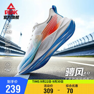 匹克態(tài)極騁風(fēng)2.0跑步鞋男鞋秋季網(wǎng)面透氣休閑體測運動鞋子男DH510007