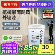 嘉寶莉（CARPOLY）新境界外墻漆防水防曬乳膠漆室外翻新自刷漆白色自刷環(huán)保油漆涂料 法式奶咖【暴雨級防水+抗開裂】 5KG刷20-25平米（送工具）