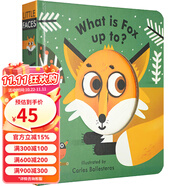 英文原版 Little Faces 百變臉譜系列 Fox Is Up To Something 兒童英語啟蒙 動物認知 紙板操作書 綠山墻