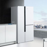 西門子（SIEMENS）三循環(huán)569L變頻混冷無霜 零度保鮮三門冰箱銀色 KA96FA12TI