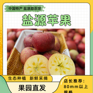 [鹽源助農館]鹽源蘋(píng)果大涼山丑蘋(píng)果冰糖心蘋(píng)果脆甜多汁新鮮采摘 凈重8斤大果(80-85mm)