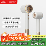 夏普家用吹風(fēng)機(jī)大功率負(fù)離子電吹風(fēng)低噪音護(hù)發(fā)高速風(fēng)干不傷發(fā)升級款I(lǐng)B-RP47C-C