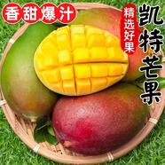 京營(yíng)覓選四川攀枝花凱特芒果【JD順豐-送貨上門(mén)】新鮮芒果水果 4.8-5斤裝【優(yōu)選裝】