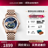 愛勒  AGELOCER原創(chuàng)天文學(xué)家機(jī)械表商務(wù)男士鋼帶月相手表送男友生日禮物禮盒裝 6401D9-梵高金月-鋼帶