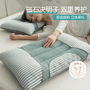 艾薇決明子磁石硬枕頭枕芯護頸椎助睡眠 一只裝 水綠 48*74cm