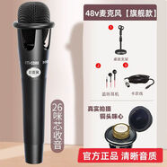 希捷優(yōu)選e300麥克風(fēng)直播專(zhuān)用48v電容麥手機臺式電腦k歌錄音話(huà)筒聲卡家用 48ve300++用于創(chuàng  )新內置聲卡 官方標配