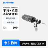 BOYA 博雅麥克風(fēng)BM6060L指向性麥克風(fēng)槍麥 相機攝像機采訪(fǎng)直播綜藝短劇微電影專(zhuān)業(yè)收音話(huà)筒挑桿麥克風(fēng)