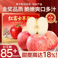 四叔公果蔬棲霞紅富士蘋果【多地次日達】煙臺脆甜山東新鮮水果禮盒中秋禮品 金獎特級大果【黃金甜度】 80-85mm 7-9枚精美禮箱裝【送禮有面-中秋限定】