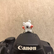 奇立彩線(xiàn)條小狗相機熱靴裝飾小狗相機熱靴蓋相機熱靴蓋冷靴蓋 備注機型搖沙錘
