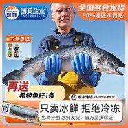 崇鮮挪威冰鮮三文魚(yú)刺身（大西洋鮭）即食 生魚(yú)片鮭魚(yú)切片年貨禮盒 整條魚(yú) 5kg -6kg (分割禮盒發(fā)貨)