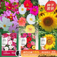 壽禾 花種子苗套裝四季種易成活室內(nèi)盆栽花草種籽 爆花三件套
