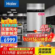 海爾（Haier）冰柜商用四門(mén)六門(mén)冰箱廚房柜立式酒店冷凍柜后廚速凍柜不銹鋼冷藏柜肉類(lèi)生鮮保鮮柜 451升 風(fēng)冷無(wú)霜 一級(jí)能效【 雙門(mén)全冷凍】