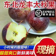 良知農哥 【順豐】東北特產(chǎn)海棠果 小沙果 酸甜小蘋(píng)果 龍豐果大秋果5斤60-80g