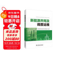 新能源并網(wǎng)及調度運維
