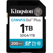 棟吆 D惠斯頓爵士64G SD卡4K高速U3 V30微單反相機內存卡數碼攝像機200MB/s 1TB[讀速200MB/s|4K超清] 官方標配