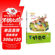 野葡萄 美繪注音 統(tǒng)編版快樂(lè)讀書吧 二年級(jí) 葛翠琳