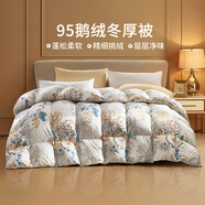 富安娜家紡 羽絨被芯95%白鵝絨被子冬天加厚冬被 【冬厚被】95灰鵝絨經(jīng)典款-曉露2.0 雙人被1.8/2.0米（被芯230*229cm）
