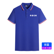 蠻威翻領(lǐng)工作服t恤定制logo刺繡企業(yè)polo文化衫短袖員工衣服裝印字圖 商務(wù)款彩藍(lán) XL