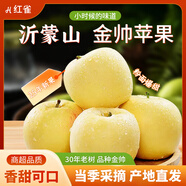 紅雀【老樹(shù)鮮果】山東黃元帥金帥蘋(píng)果自然粉糯易吸收寶寶輔食安心之選 金帥蘋(píng)果70mm-80mm 1斤裝 【凈重1斤】個(gè)頭不挑