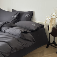 新款100支純色刺繡a類(lèi)高級感長(cháng)絨棉四件套綁帶枕套純棉 翎羽-暗夜灰耐臟 床單款 （被套150*200cm） 0-0