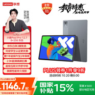 聯(lián)想小新PadPro12.7 2025款平板電腦 國家補(bǔ)貼15% 2.9K高刷全面屏 娛樂學(xué)習(xí) 10200mAh 8+256G大象灰