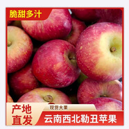 果迎鮮蘋果 云南西北勒紅富士 嘎啦果 小蘋果 新鮮水果脆甜多汁蘋果生鮮 凈果8.5斤裝50-60mm