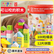 Hape100粒兒童木制積木大顆粒字母數(shù)字啟智拼裝嬰兒兒童生日禮物 HAPE【桶裝版】100粒積木