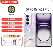 OPPOReno12 Pro 小直屏安卓Live圖 5G展機天璣9200+智能拍照 影像手機 Reno12 Pro 銀幻紫 16GB+512GB+白條6期免息 單機+第三方充電器+店保一年