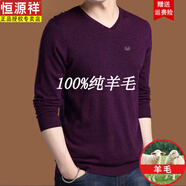 恒源祥騏驥紅純羊毛絨衫男純羊毛針織衫男雞心V領(lǐng)打底衫長(cháng)袖T恤保暖毛衣 紫紅色 HYX薄V XL 180碼(建議160-175斤穿)