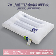 艾薇 A類全棉抗菌決明子防污防水防油枕芯單人纖維枕48*74cm 三防枕